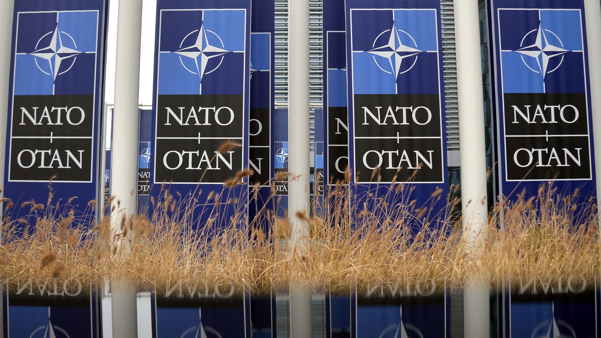В Испании сделали заявление об отправке войск НАТО на Украину