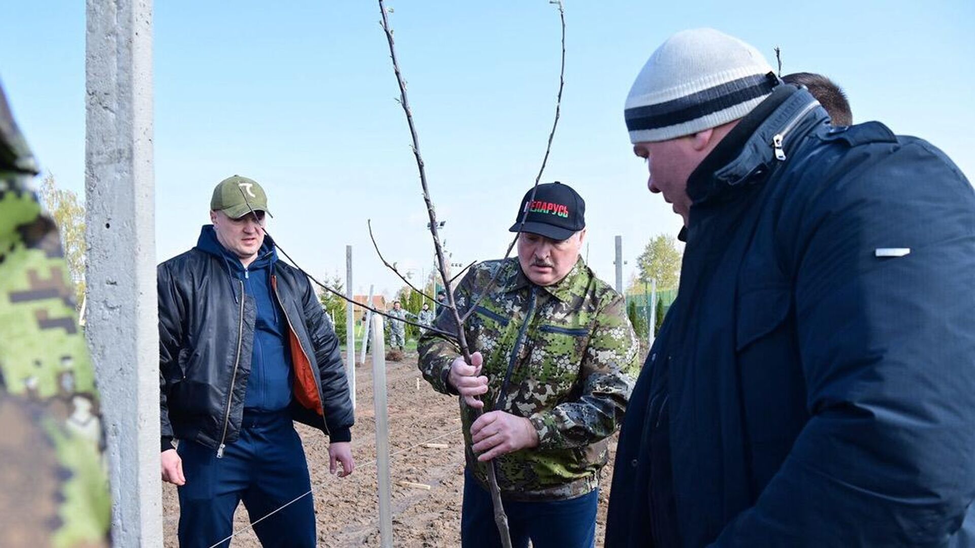 Лукашенко высадил яблоневый сад на малой родине