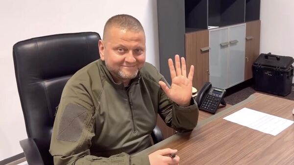 Залужный стал почетным гражданином Киева