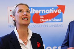В ФРГ захотели признать «Альтернативу для Германии» экстремистской