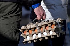 В Турции заявили о готовности поставлять яйца в Россию в нужном объеме
