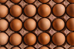 В России раскрыли число ввезенных яиц