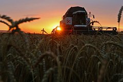 Российские производители зерна обвинили США в угрозе голода