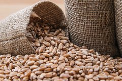 Россия подарила африканской стране десятки тысяч тонн пшеницы
