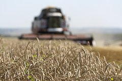 Путин назвал Россию лидером по экспорту пшеницы