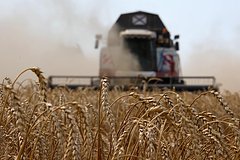 Поставки сельхозпродукции из России в Китай взлетели