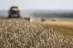ЕК начала подготовку введения тарифов на российское зерно