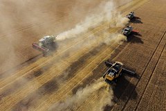 В Кремле оценили возможный запрет на импорт российского зерна