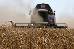 Собственник сельхозэкспортера «РИФ» рассказал о беспрецедентном давлении