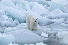 «РН-Ванкор» поддержал форум «ЭкоАрктика»