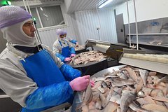Михаил Минасян раскрыл детали захвата своего рыбного бизнеса