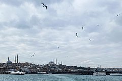 Жителей Стамбула предупредили о риске мощного землетрясения