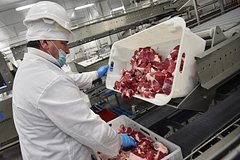 Вывоз мяса из России рекордно вырос