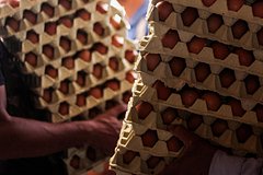 Названы последствия введения Евросоюзом пошлин на яйца и сахар с Украины