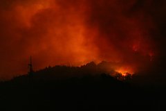 В Турции лесные пожары охватили три провинции