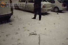 Упавший в Санкт-Петербурге дрон повредил припаркованные автомобили