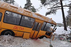 Раскрыты неожиданные подробности аварии с детским автобусом под Псковом