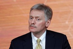 В Кремле назвали беспочвенным беспокойство из-за «закона о негодяях»