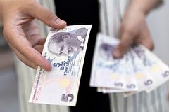 Назван способ решения проблемы денежных переводов в Турцию