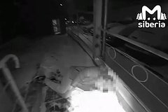 32-летний россиянин заснул и вмерз в бетон