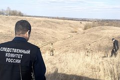 Мальчика без признаков жизни нашли в болоте в российском регионе