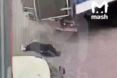 Мужчина потерял сознание от удара во время непогоды в Москве и попал на видео
