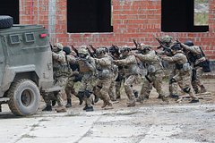 В Совфеде объяснили размещение войск НАТО на Украине