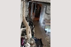 Соседка рассказала о найденных в подвале с мужчиной детях-маугли в Петербурге