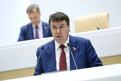 В Совфеде описали возможный ответ России на вторжение НАТО в Белоруссию