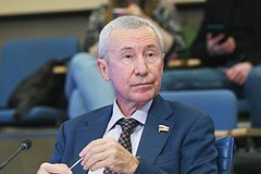 В Совфеде спрогнозировали политику НАТО с приходом нового генсека
