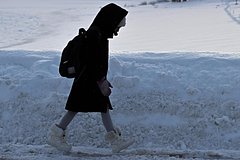 Стала известна судьба пропавшей в приграничном российском регионе девятилетней девочки