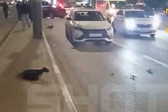 Устроивший смертельное ДТП на спорткаре коммунист прокомментировал аварию