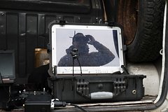 Стало известно об уничтожении еще шести летевших в сторону Подмосковья беспилотников